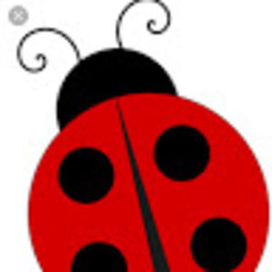 Meet your Posher, Margo